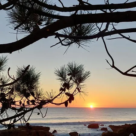 Baia Village - Gale - Albufeira